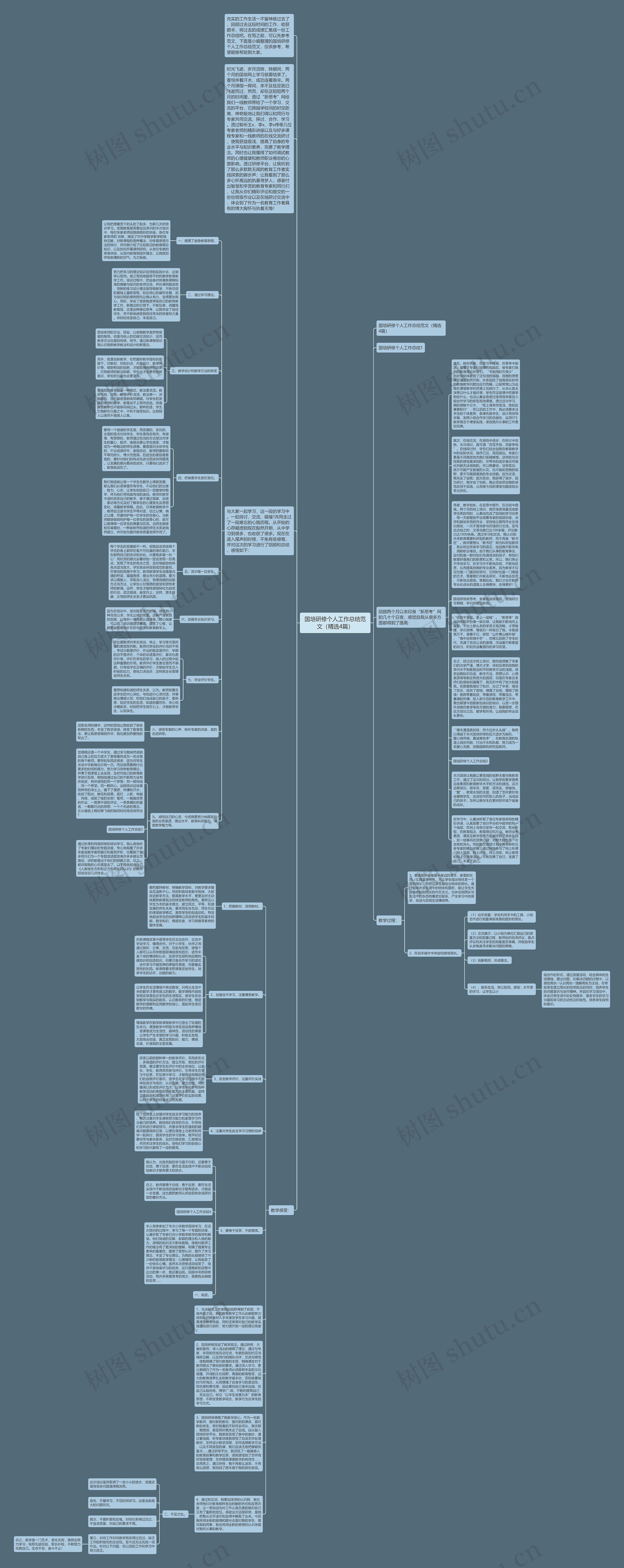 国培研修个人工作总结范文（精选4篇）思维导图