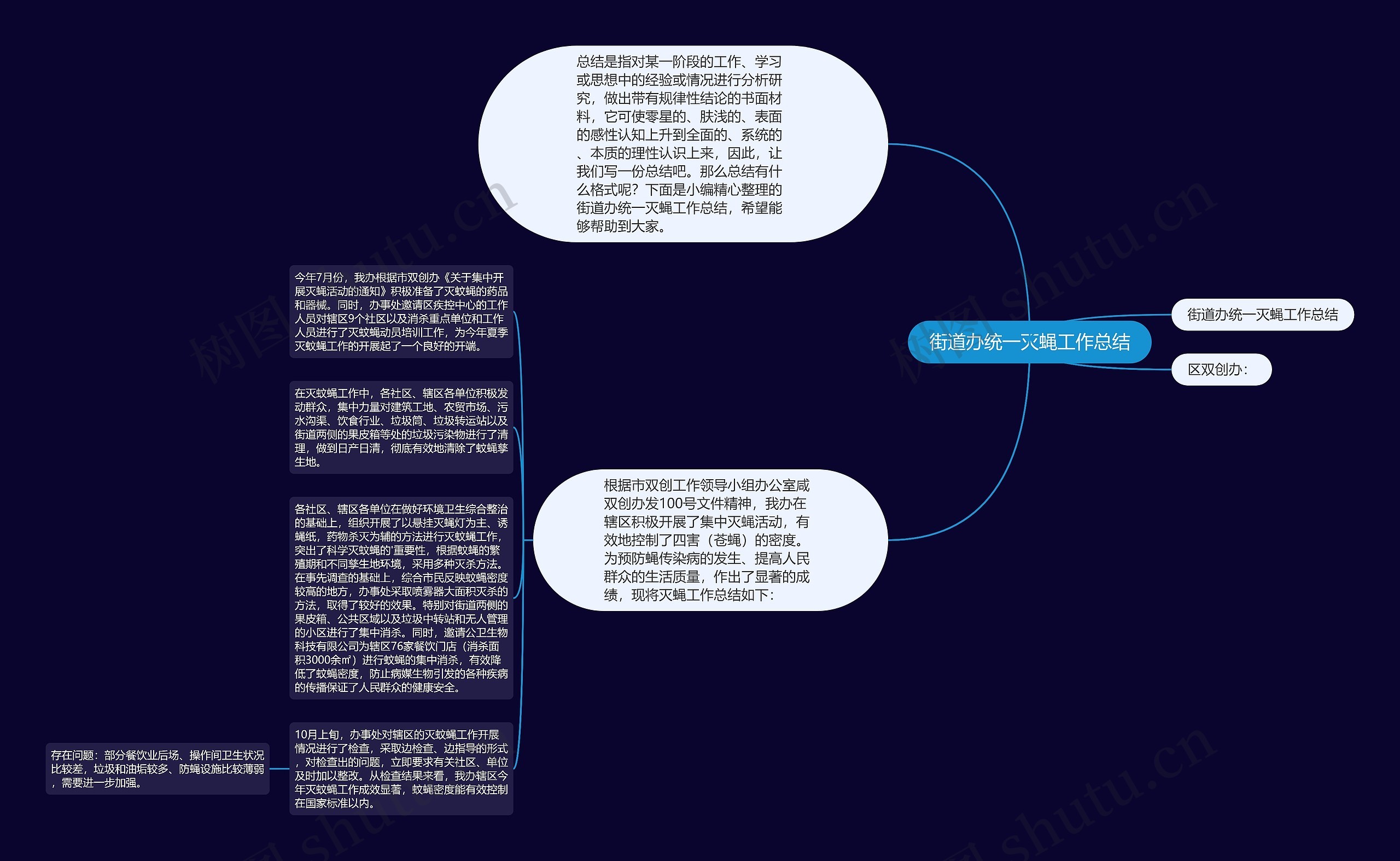 街道办统一灭蝇工作总结思维导图