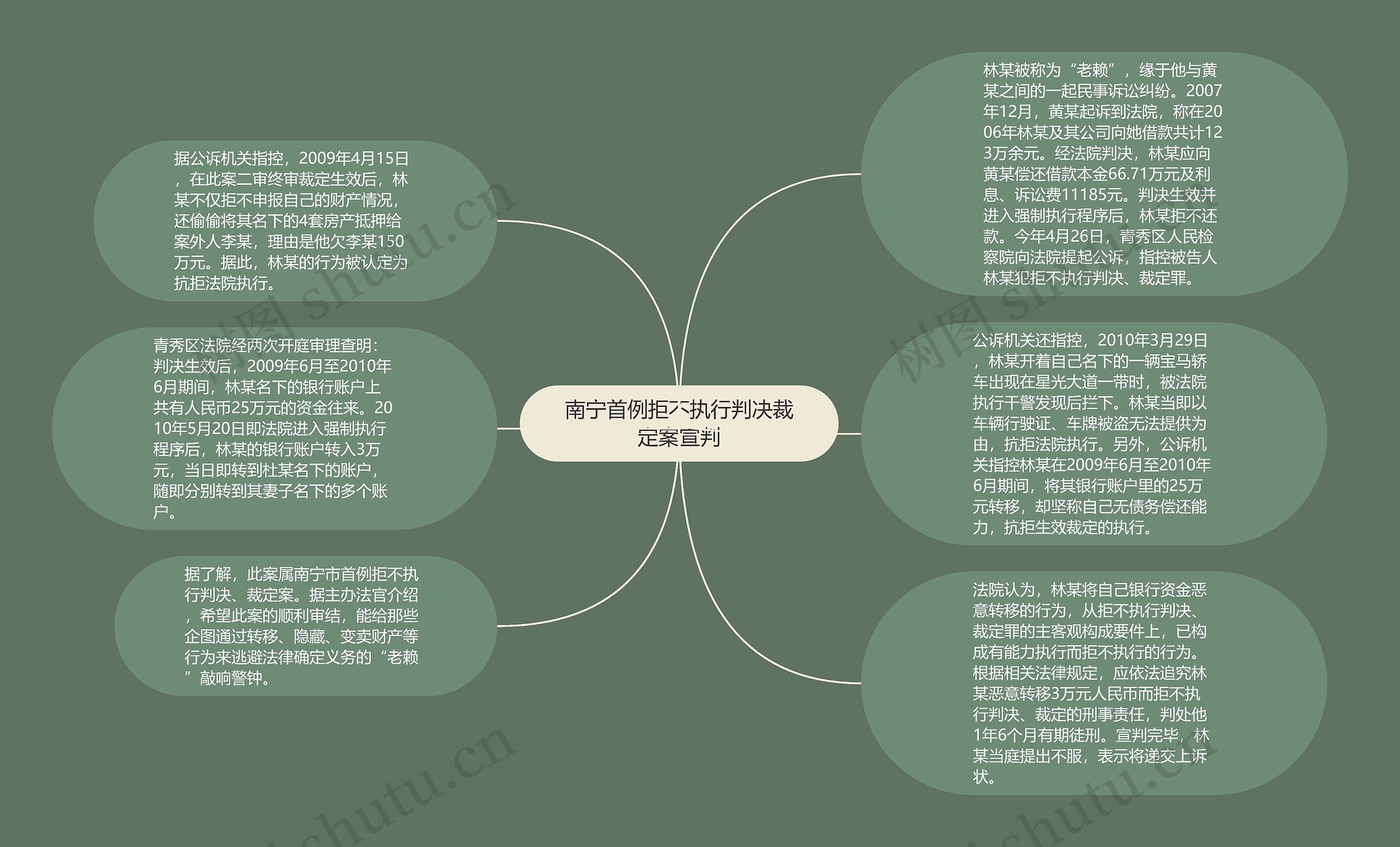 南宁首例拒不执行判决裁定案宣判思维导图