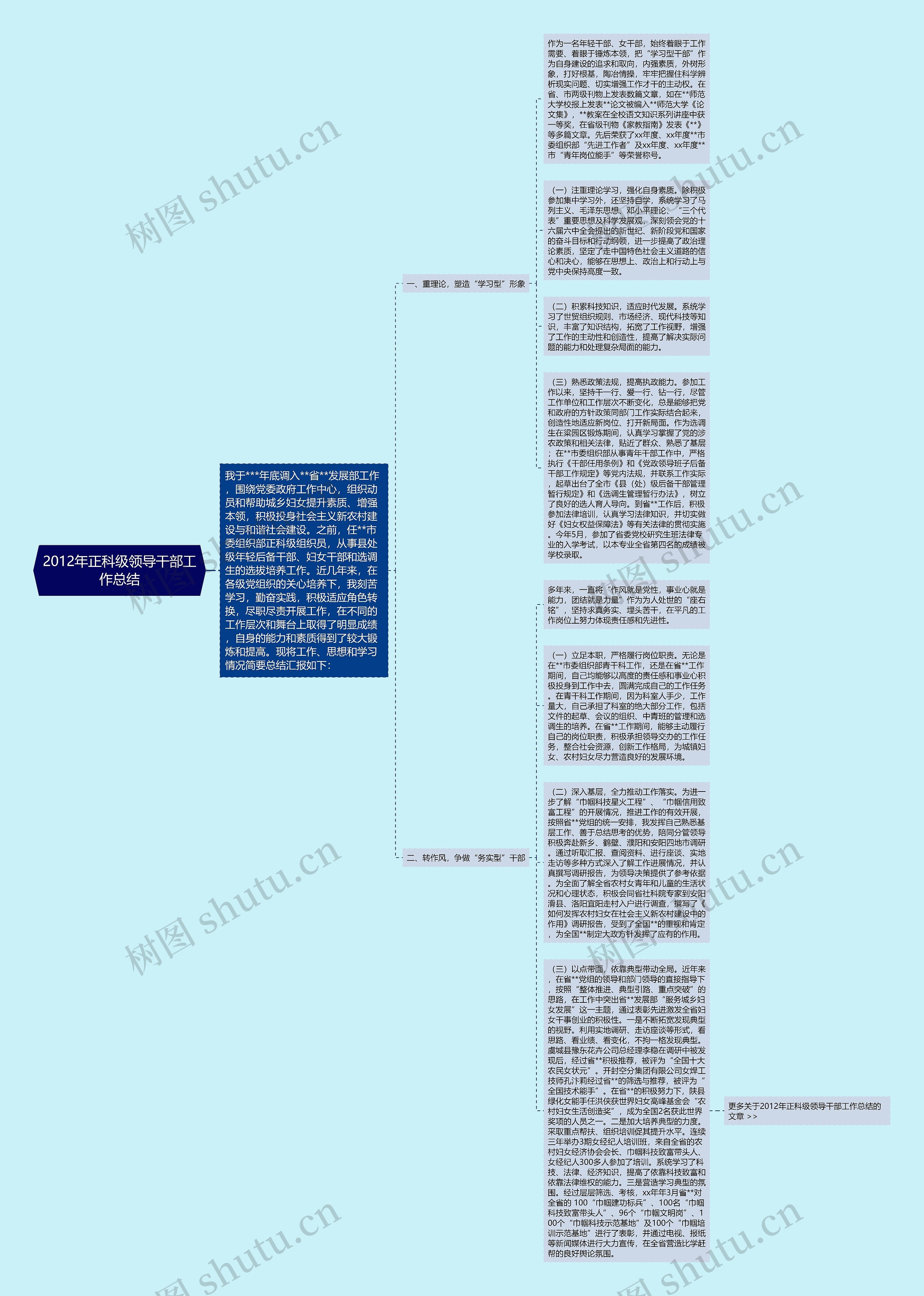 2012年正科级领导干部工作总结思维导图