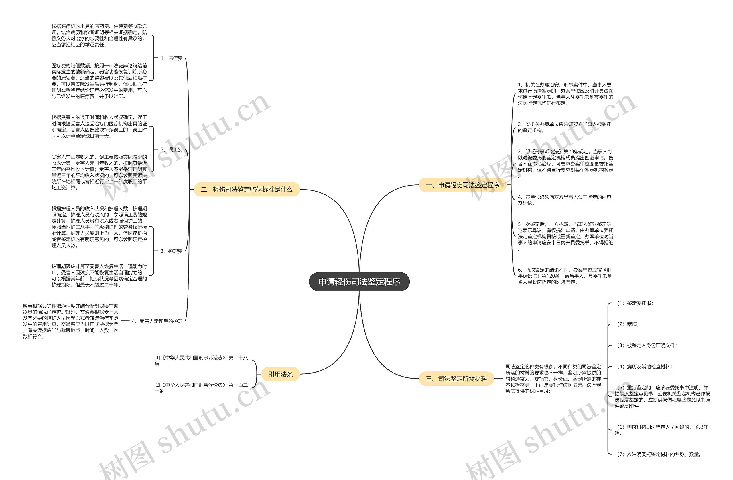申请轻伤司法鉴定程序思维导图