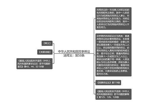 中华人民共和国民事诉讼法释义：第53条