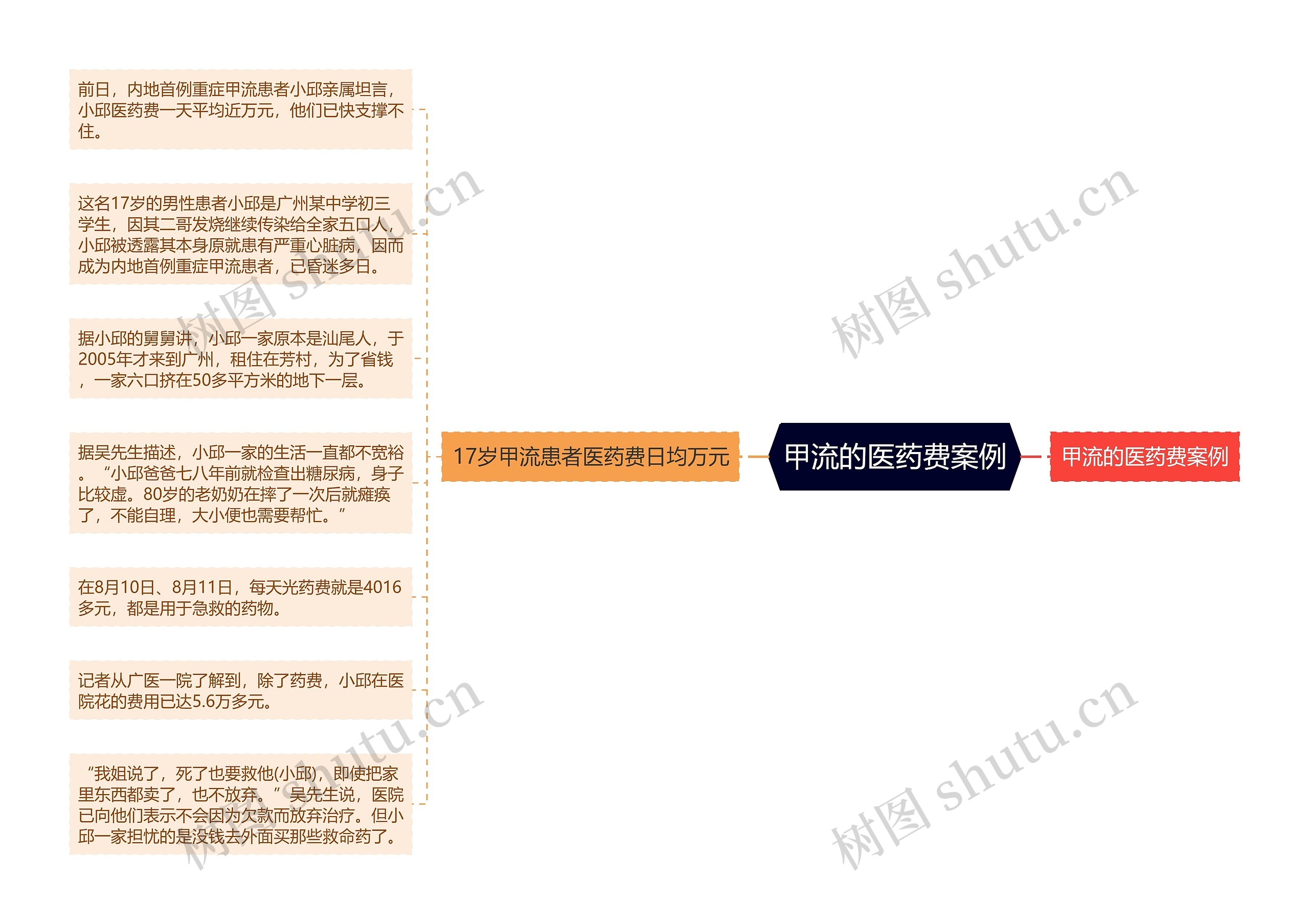 甲流的医药费案例