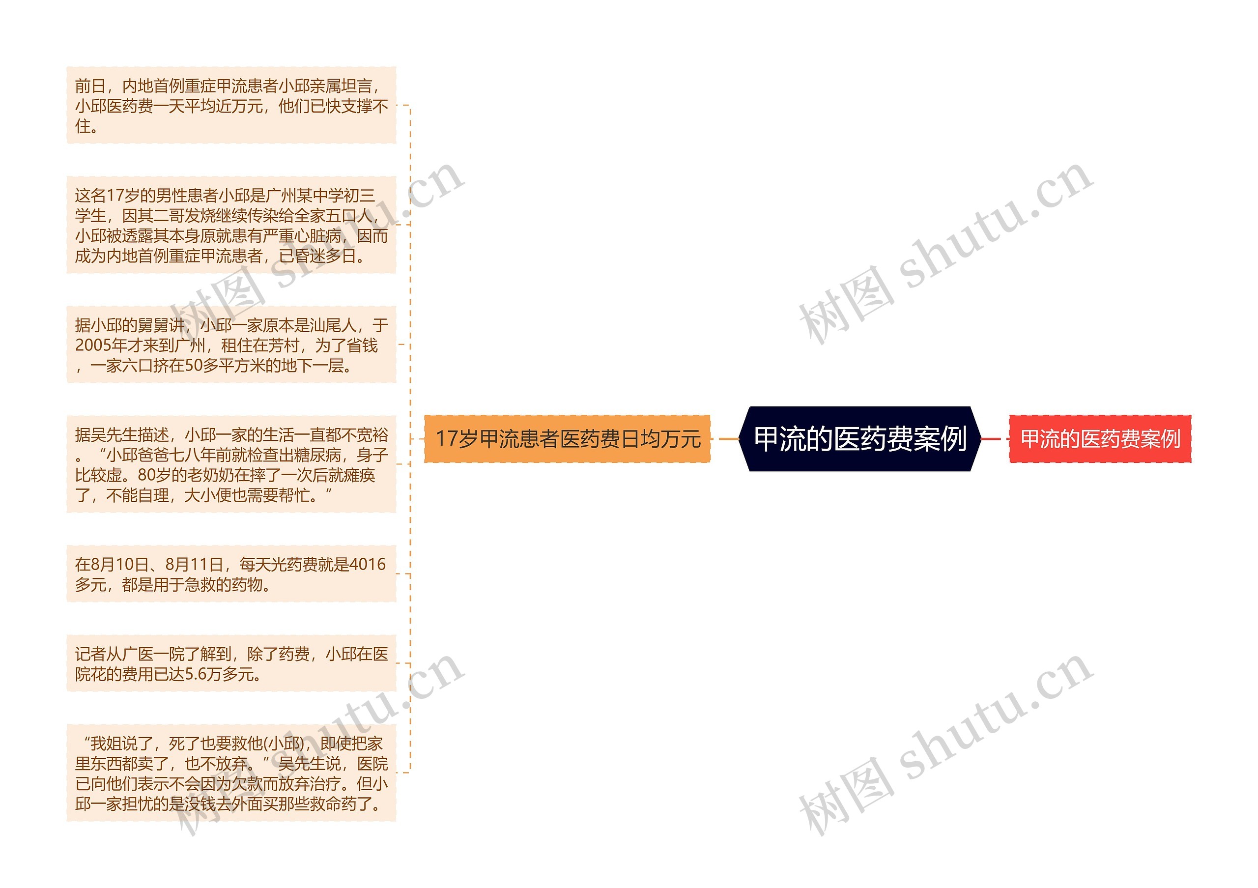 甲流的医药费案例思维导图