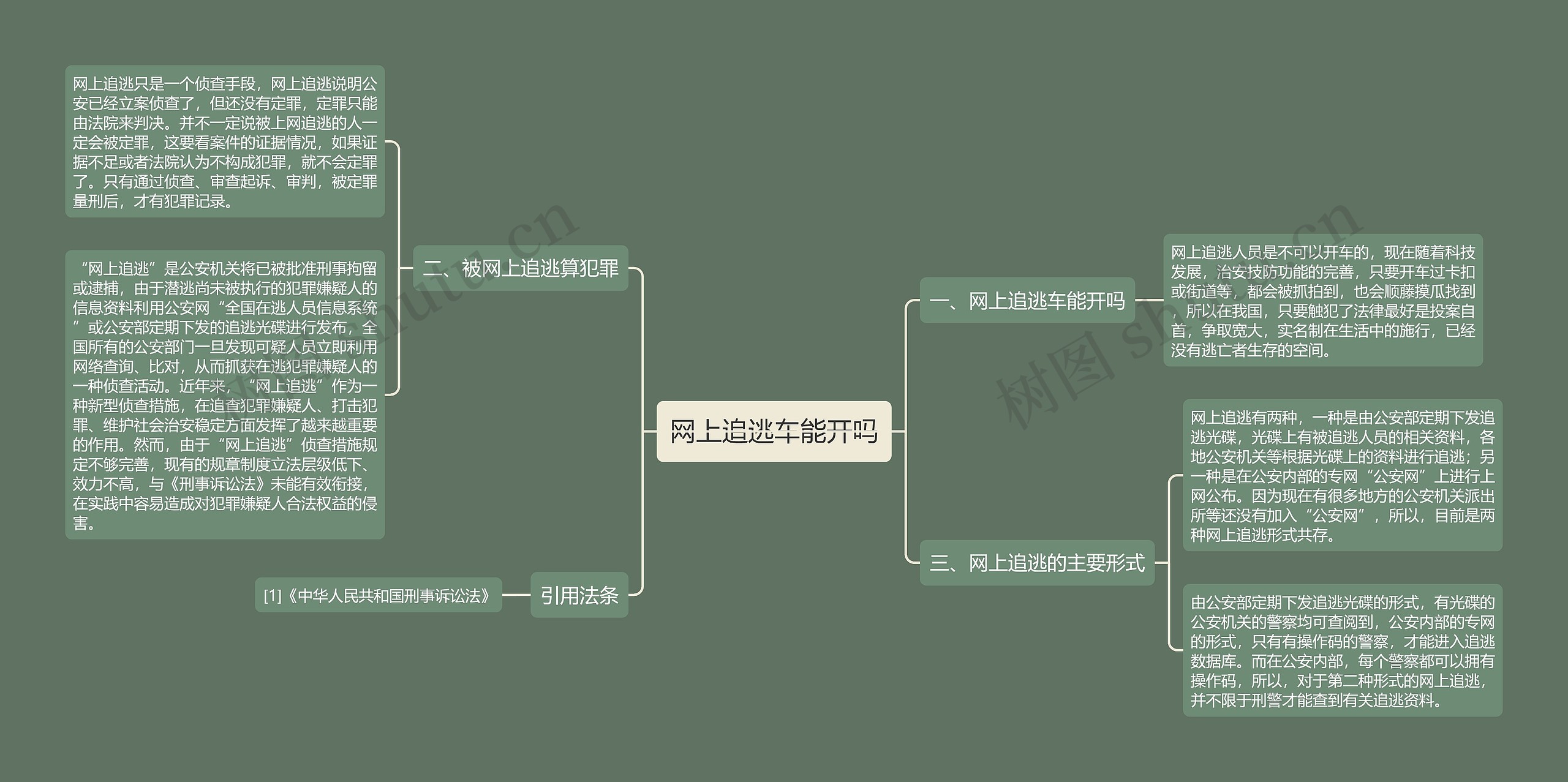 网上追逃车能开吗思维导图