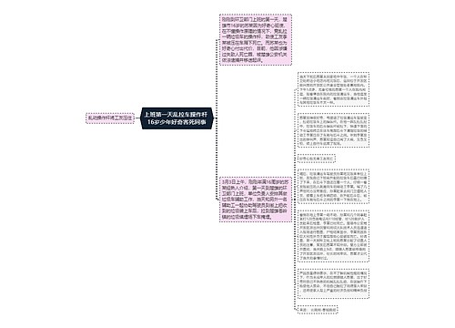 上班第一天乱拉车操作杆 16岁少年好奇害死同事