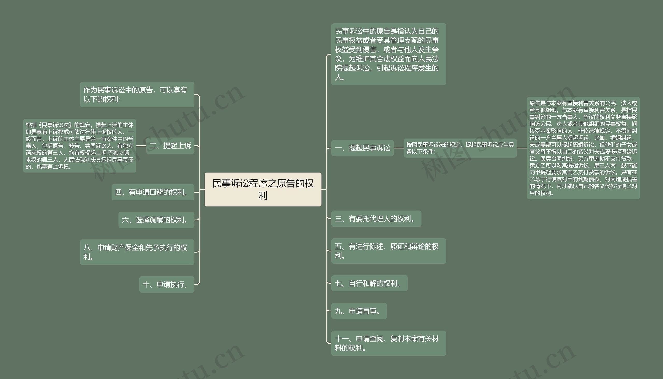 民事诉讼程序之原告的权利