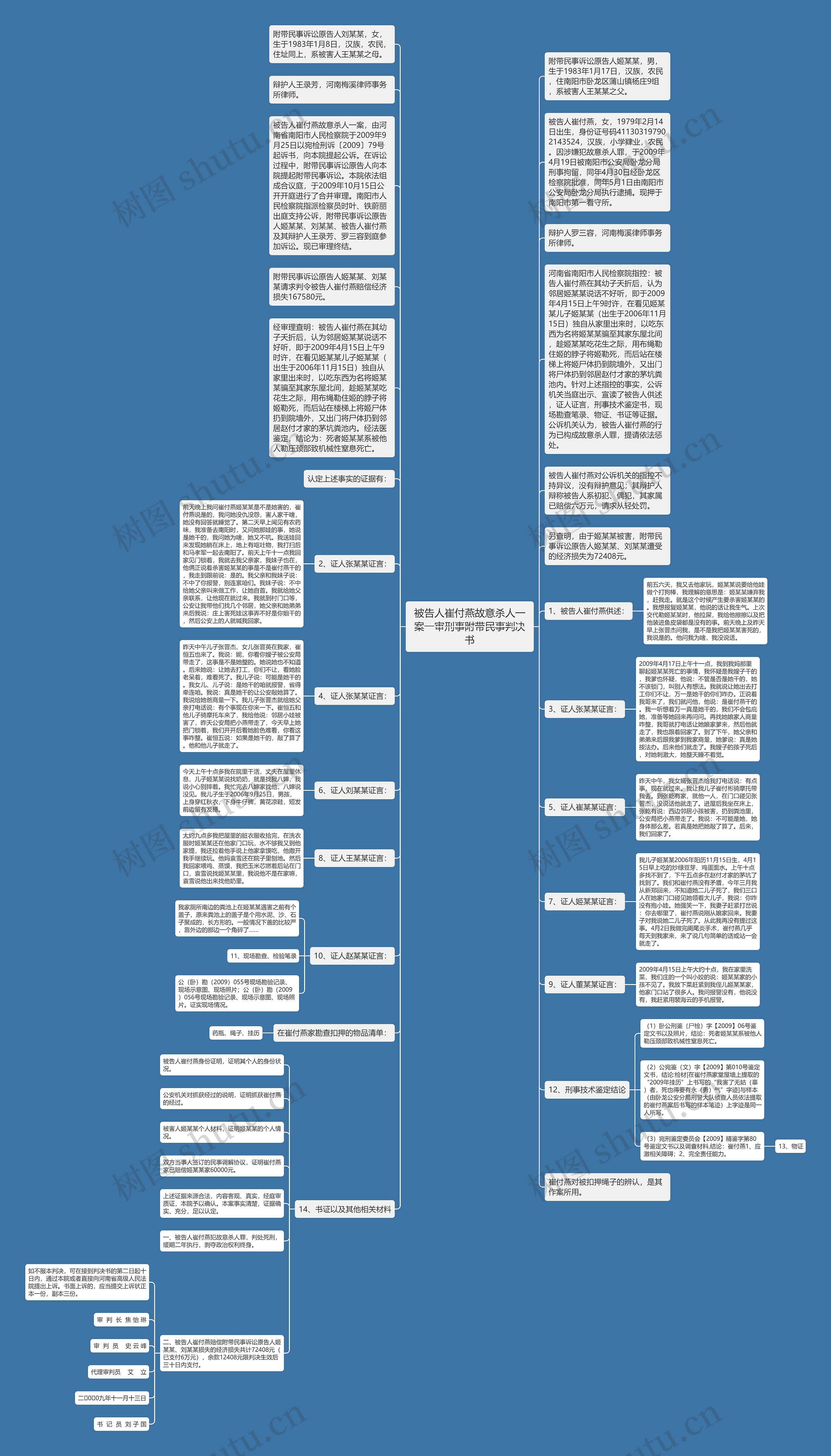 被告人崔付燕故意杀人一案一审刑事附带民事判决书思维导图