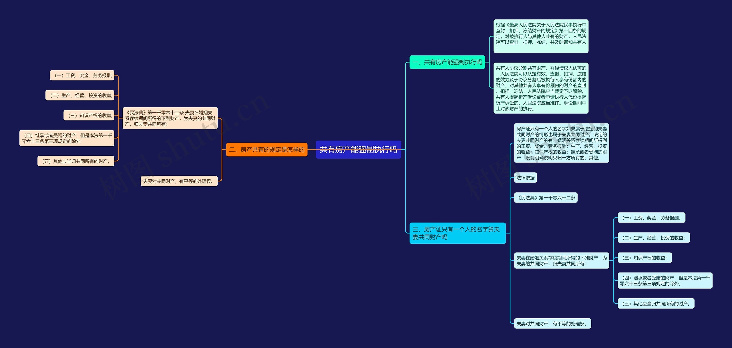共有房产能强制执行吗思维导图
