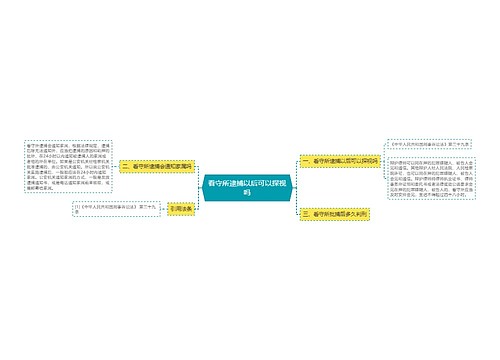 看守所逮捕以后可以探视吗