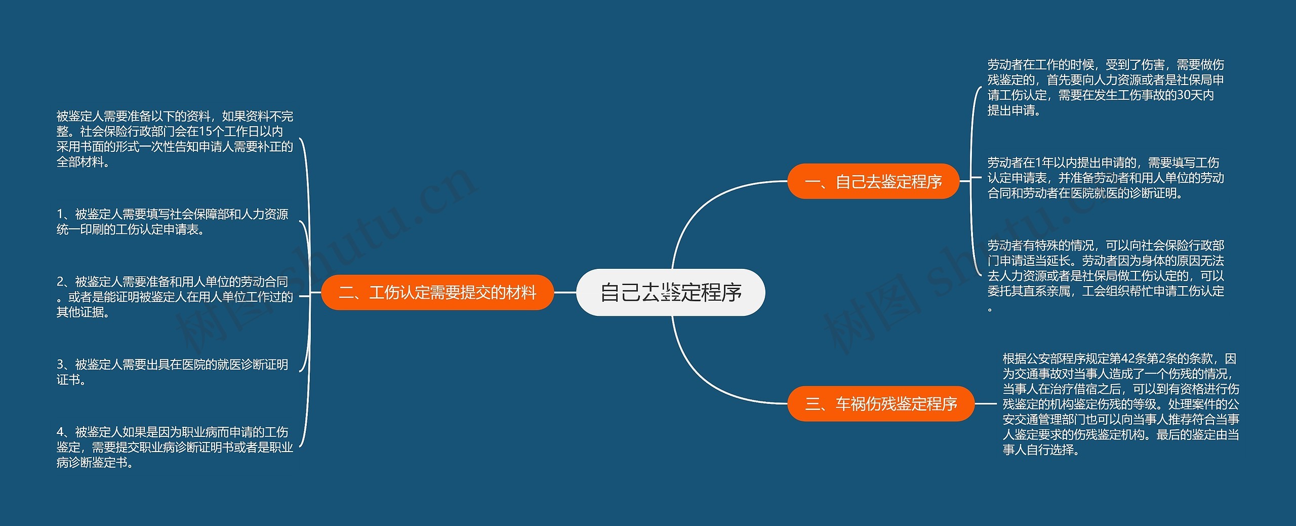 自己去鉴定程序思维导图