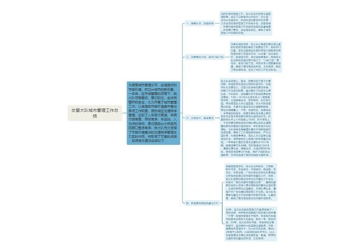 交警大队城市管理工作总结