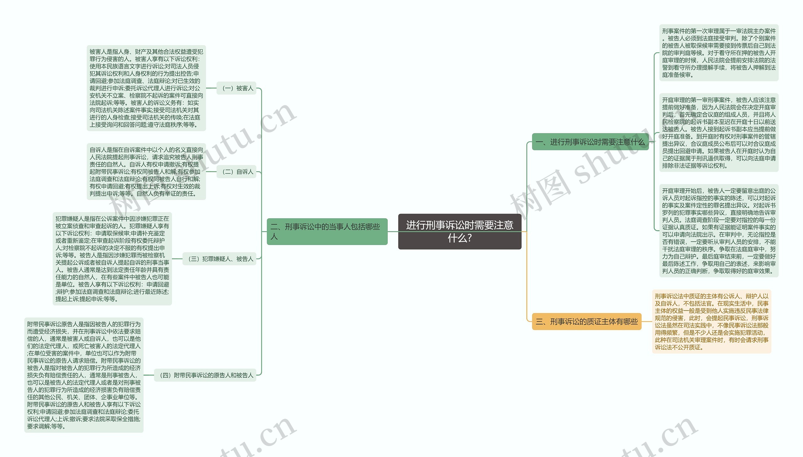 进行刑事诉讼时需要注意什么?思维导图