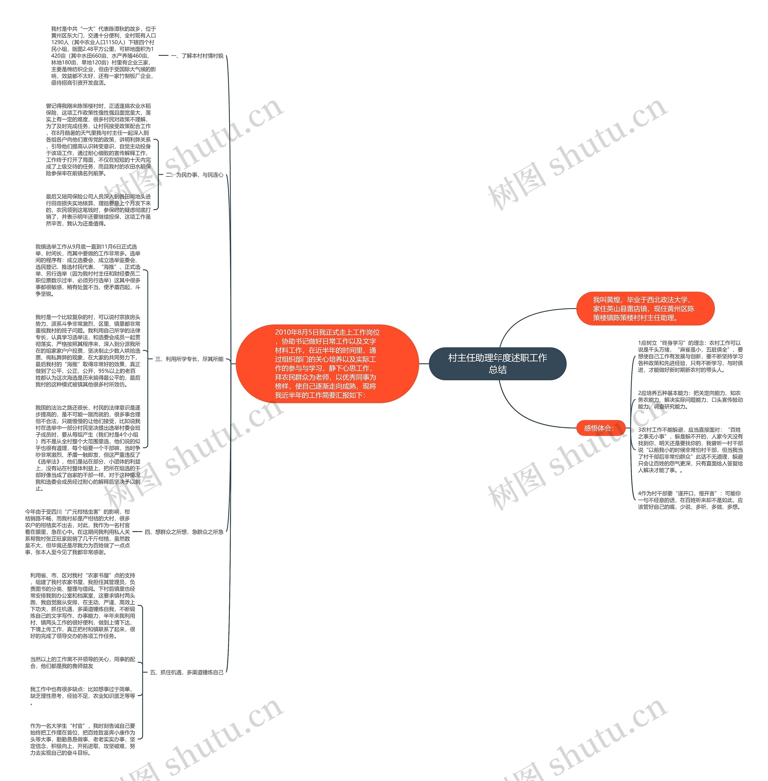 村主任助理年度述职工作总结思维导图