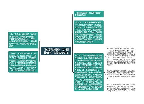 “弘扬消防精神，忠诚履行使命”主题教育总结