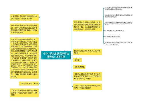 中华人民共和国民事诉讼法释义：第213条