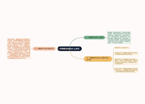 民营医疗机构什么意思