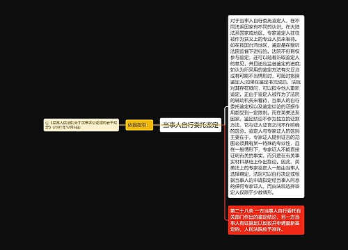 当事人自行委托鉴定