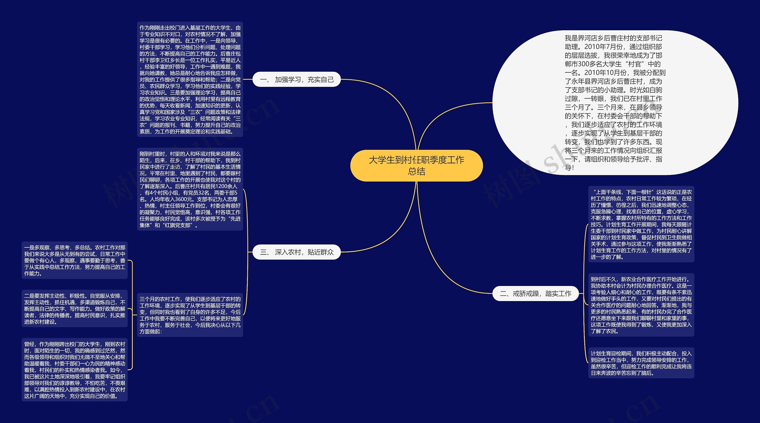 大学生到村任职季度工作总结思维导图