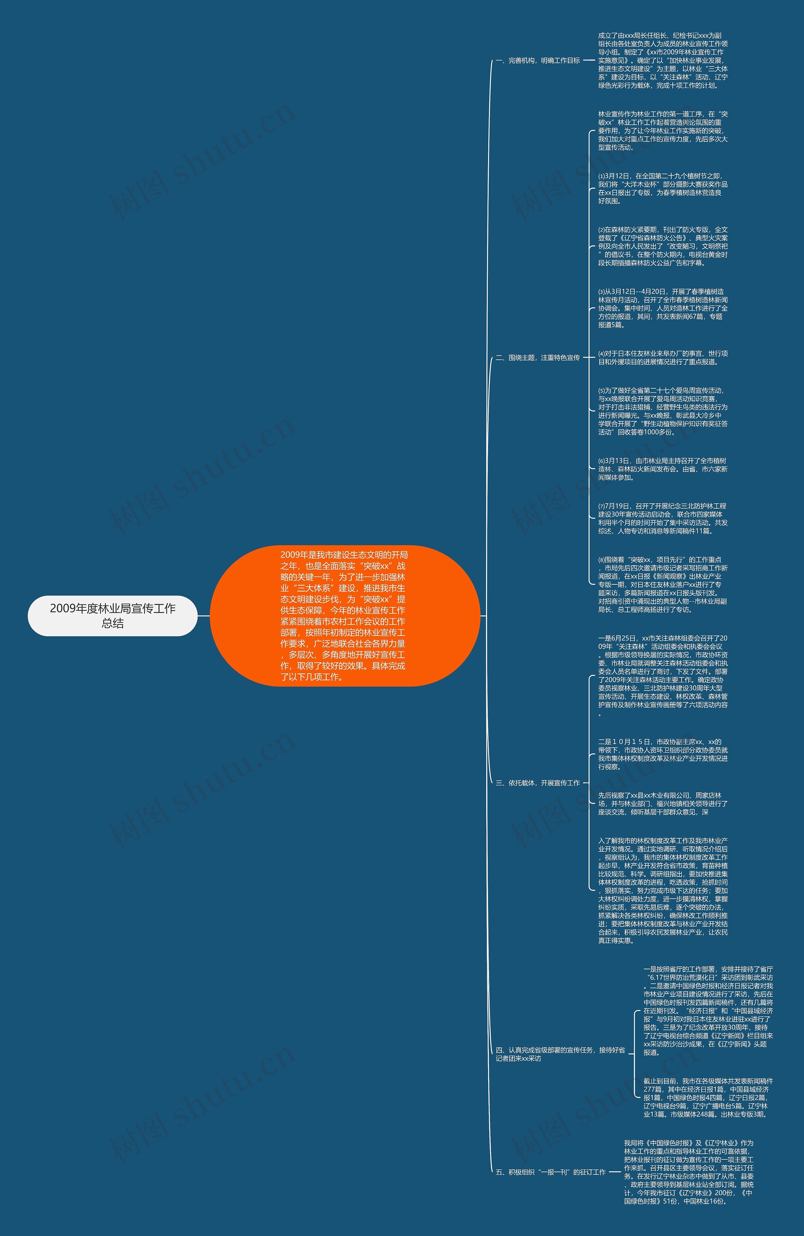 2009年度林业局宣传工作总结思维导图