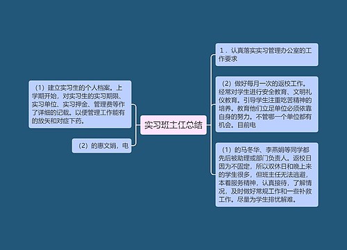 实习班主任总结