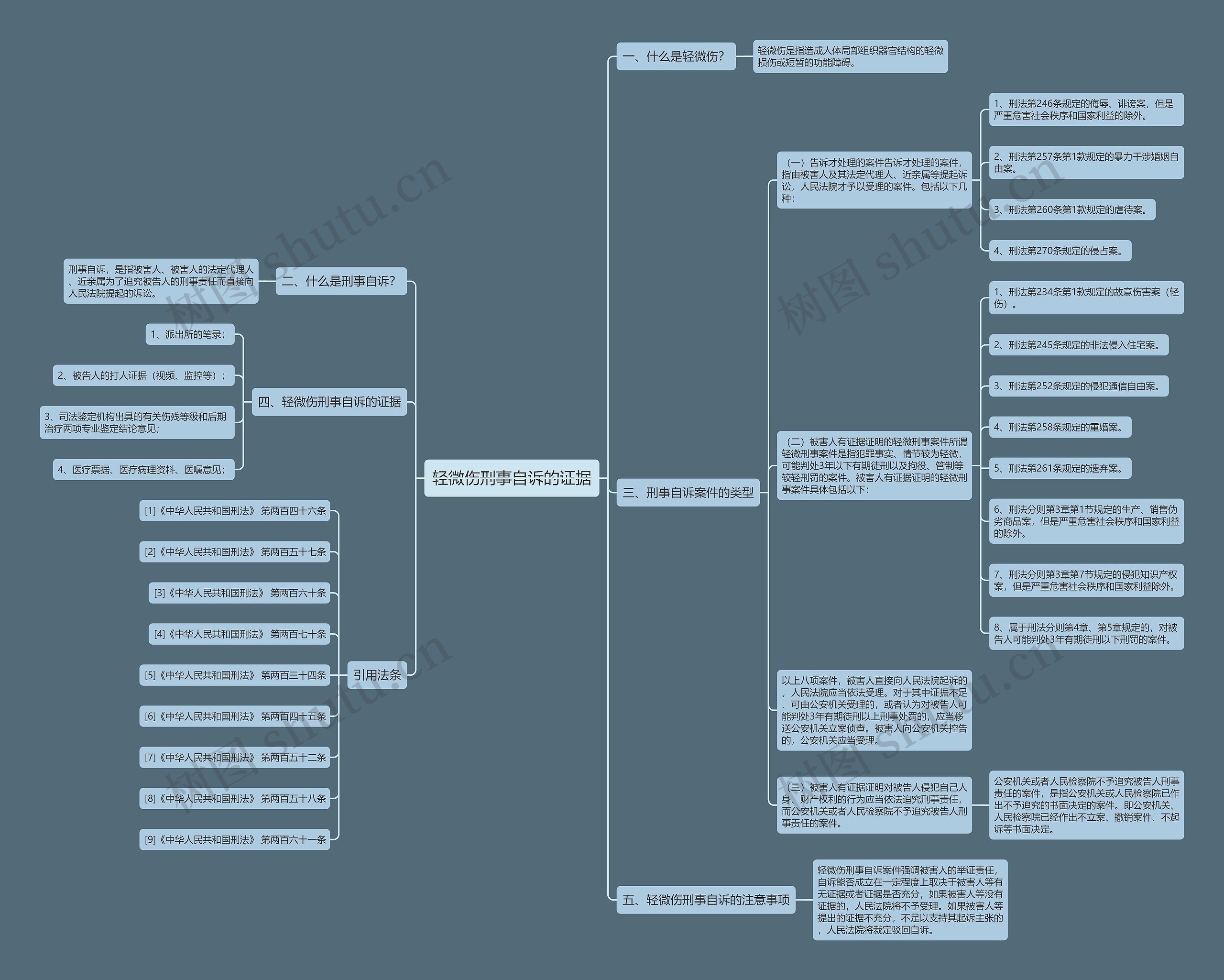轻微伤刑事自诉的证据思维导图
