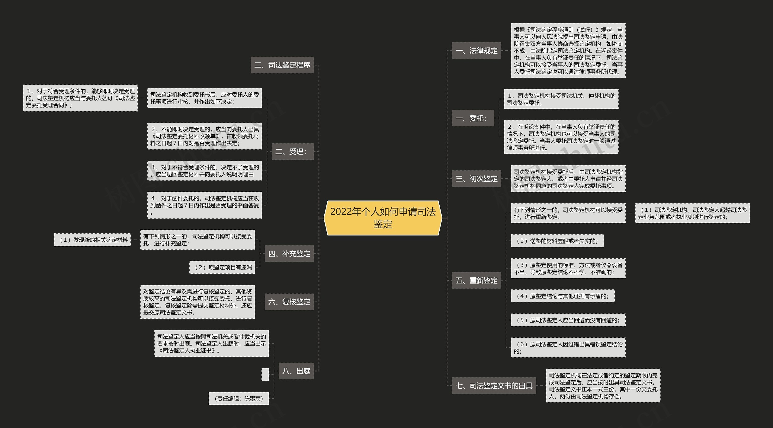 2022年个人如何申请司法鉴定思维导图
