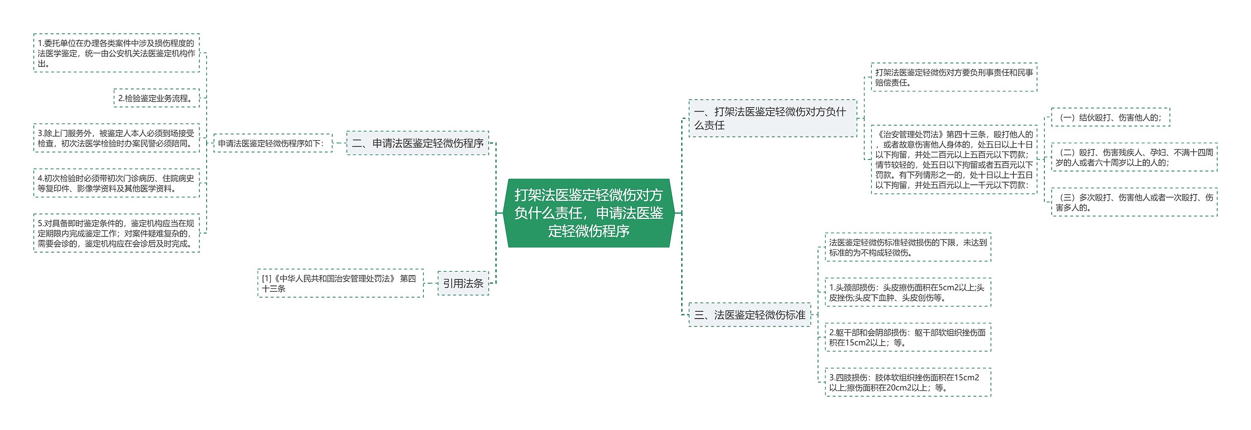 打架法医鉴定轻微伤对方负什么责任，申请法医鉴定轻微伤程序思维导图