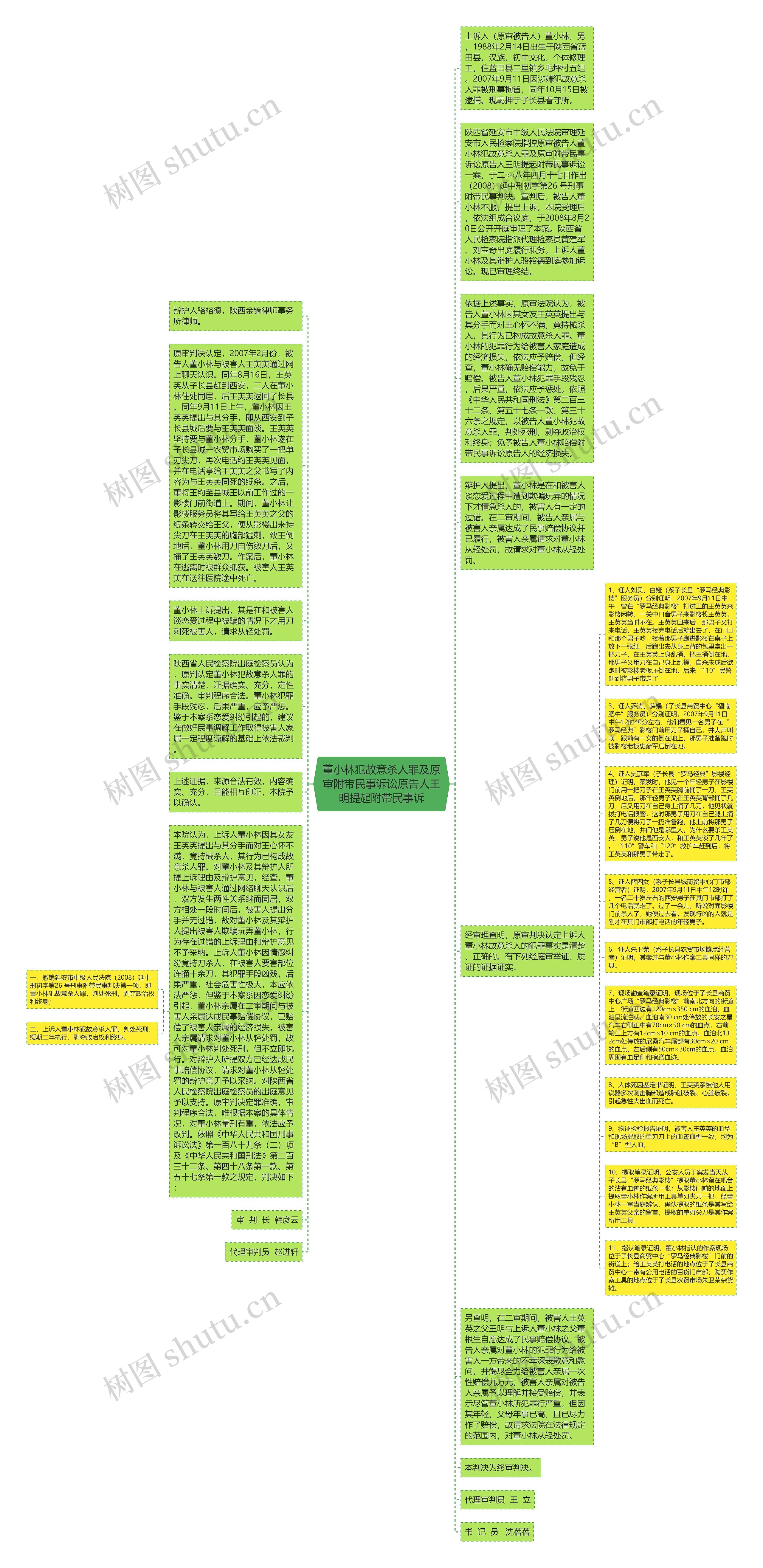 董小林犯故意杀人罪及原审附带民事诉讼原告人王明提起附带民事诉思维导图