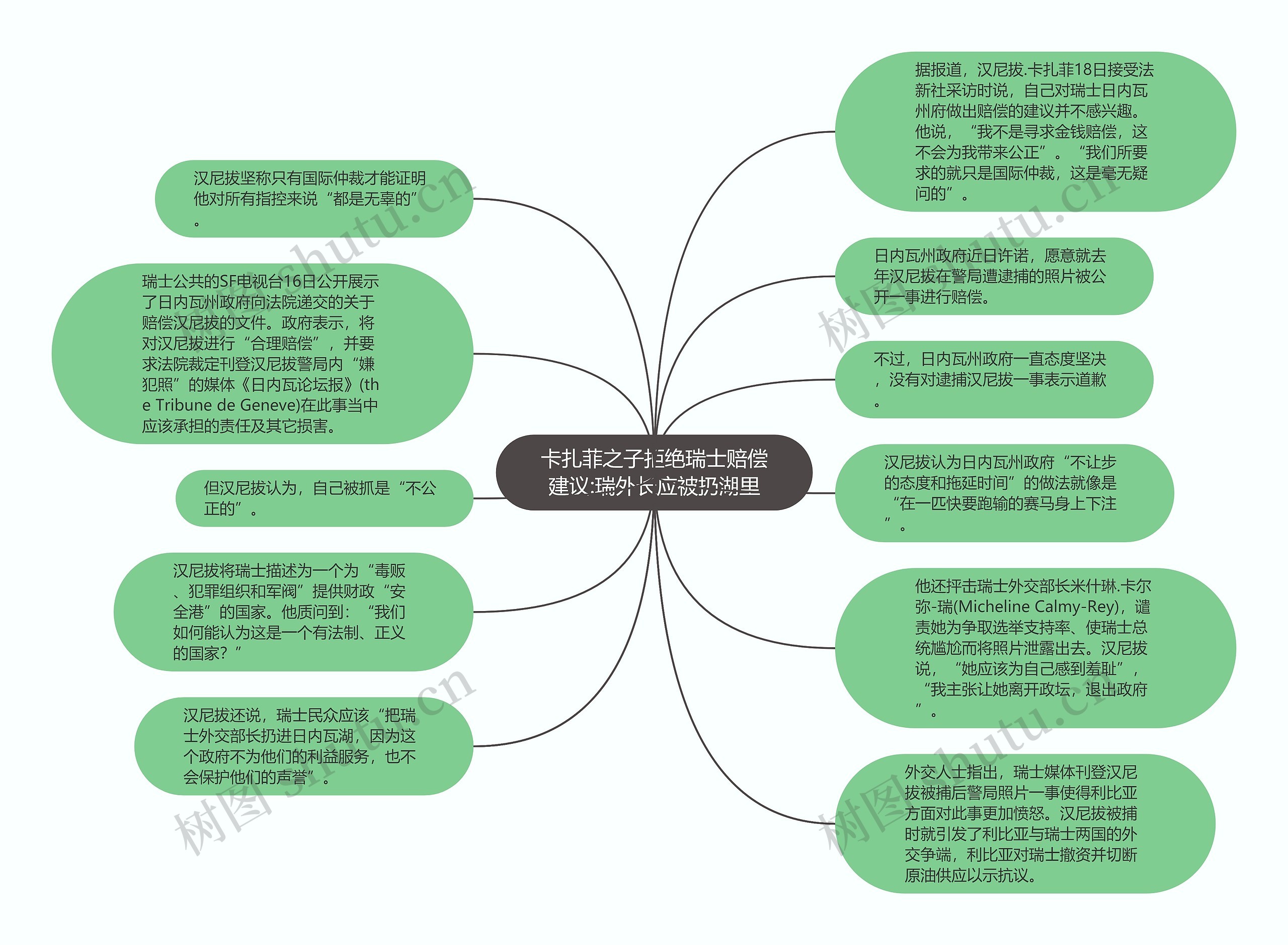 卡扎菲之子拒绝瑞士赔偿建议:瑞外长应被扔湖里思维导图