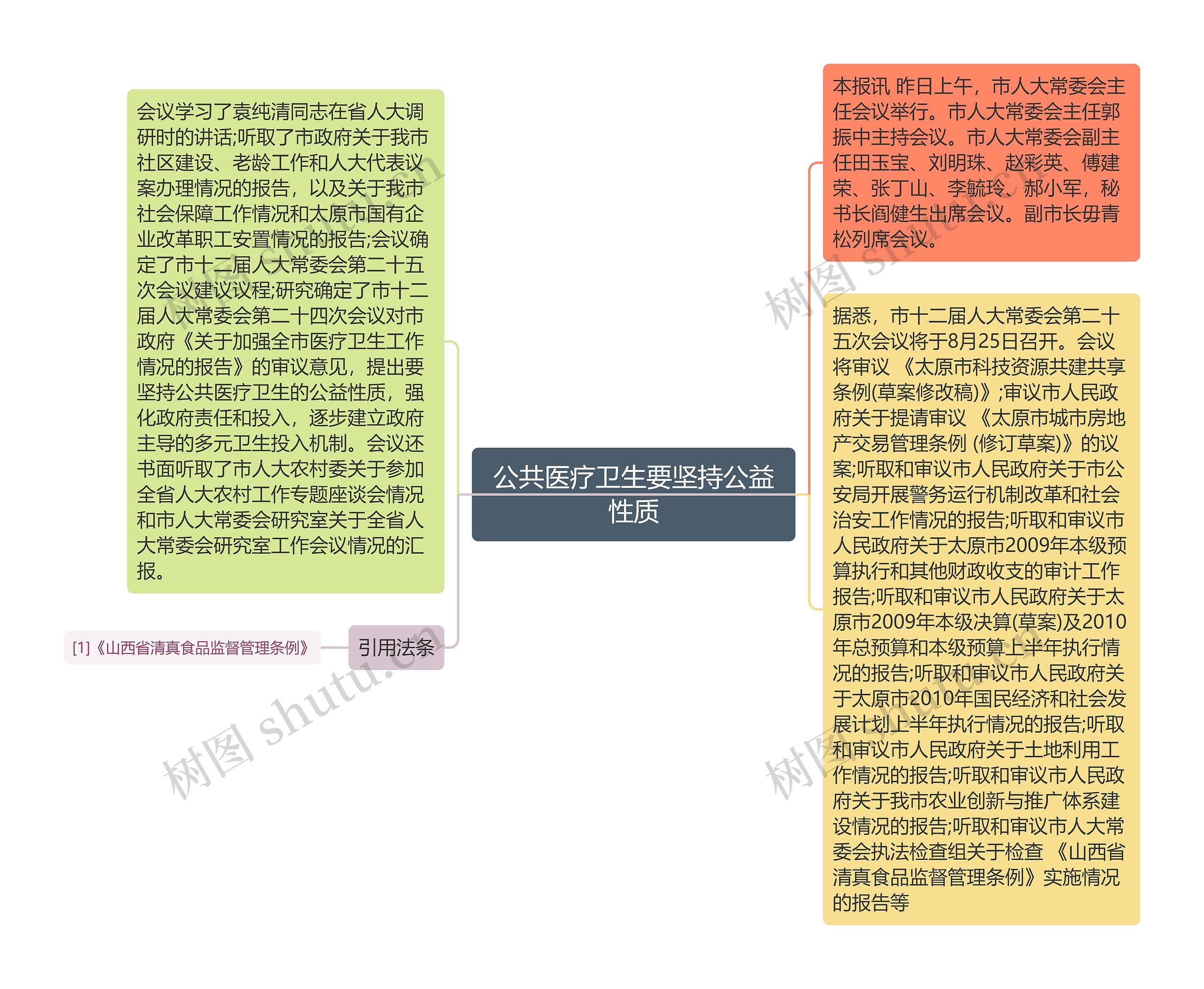 公共医疗卫生要坚持公益性质思维导图