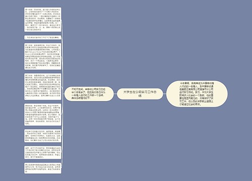 大学生在公司实习工作总结