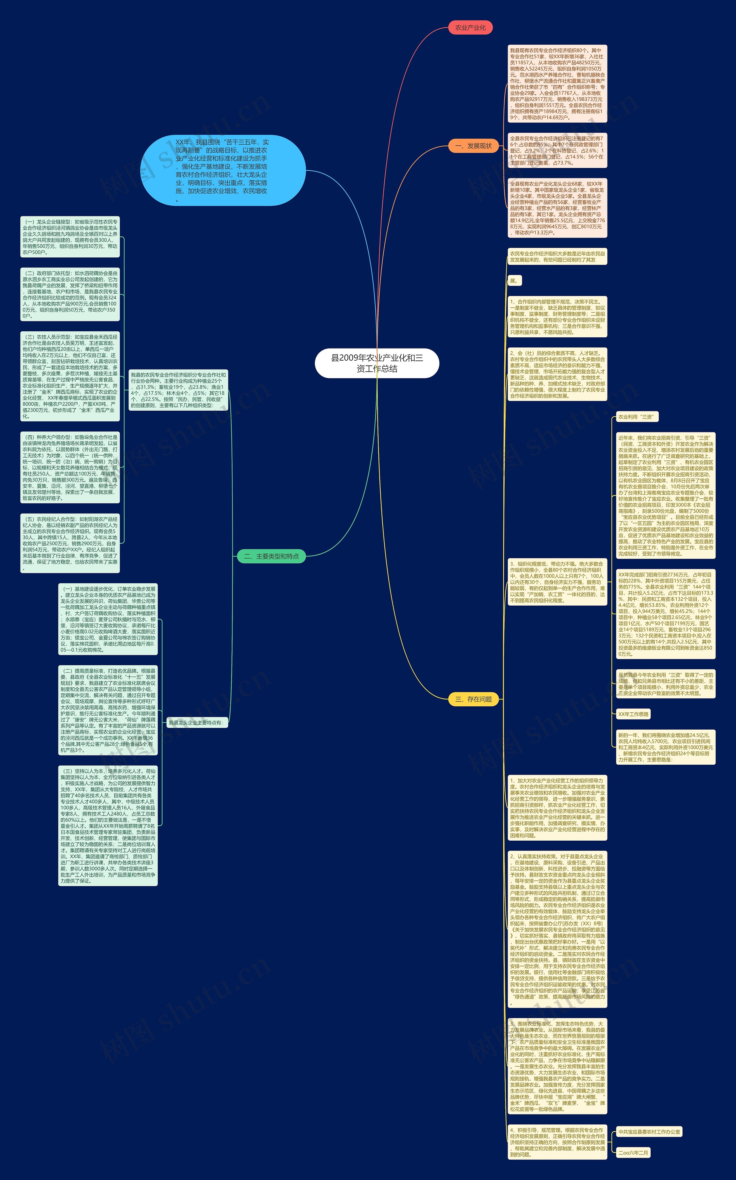 县2009年农业产业化和三资工作总结思维导图