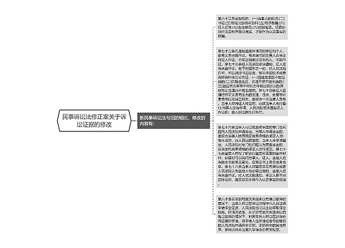 民事诉讼法修正案关于诉讼证据的修改