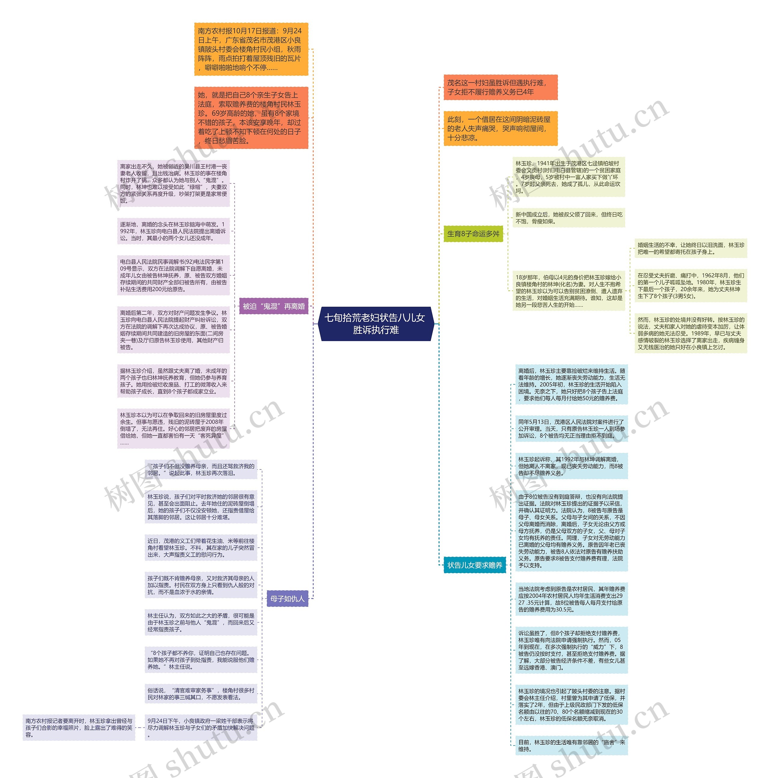 七旬拾荒老妇状告八儿女 胜诉执行难思维导图
