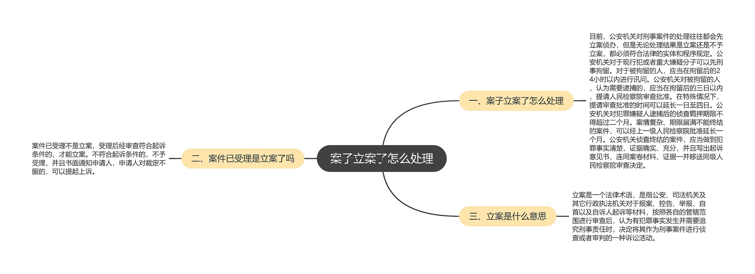 案子立案了怎么处理思维导图