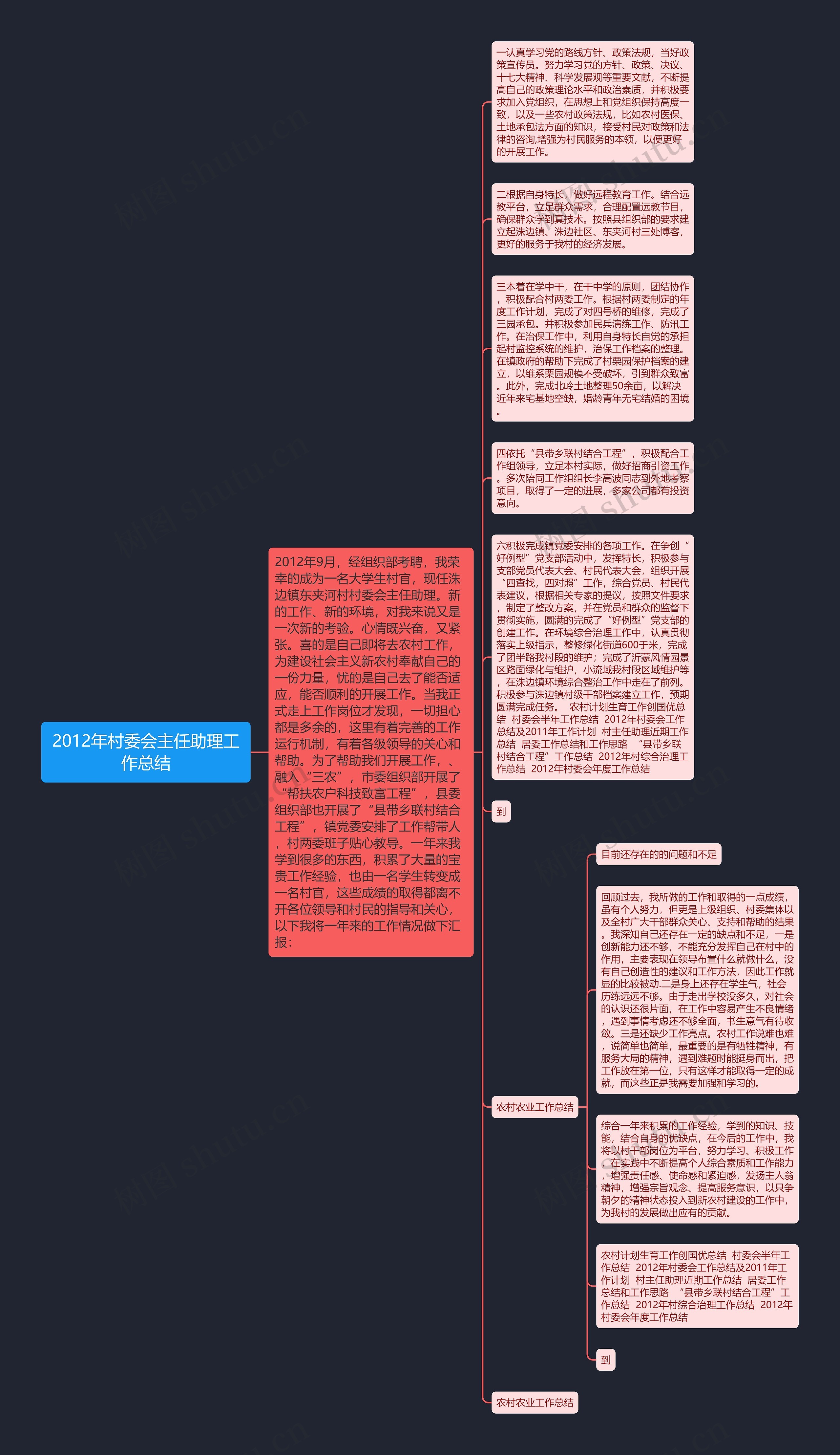 2012年村委会主任助理工作总结思维导图