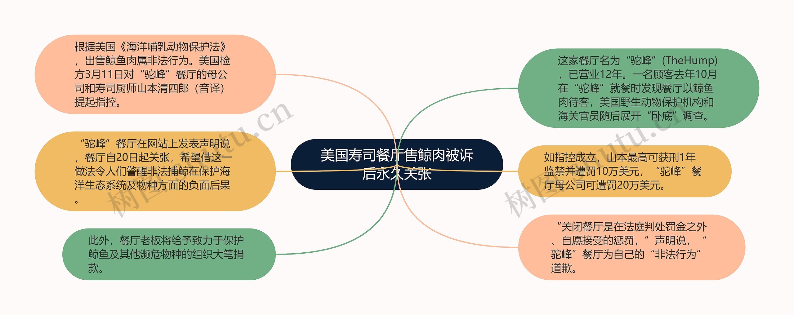 美国寿司餐厅售鲸肉被诉后永久关张思维导图高清图 美国寿司餐厅售鲸肉被诉后永久关张思维导图