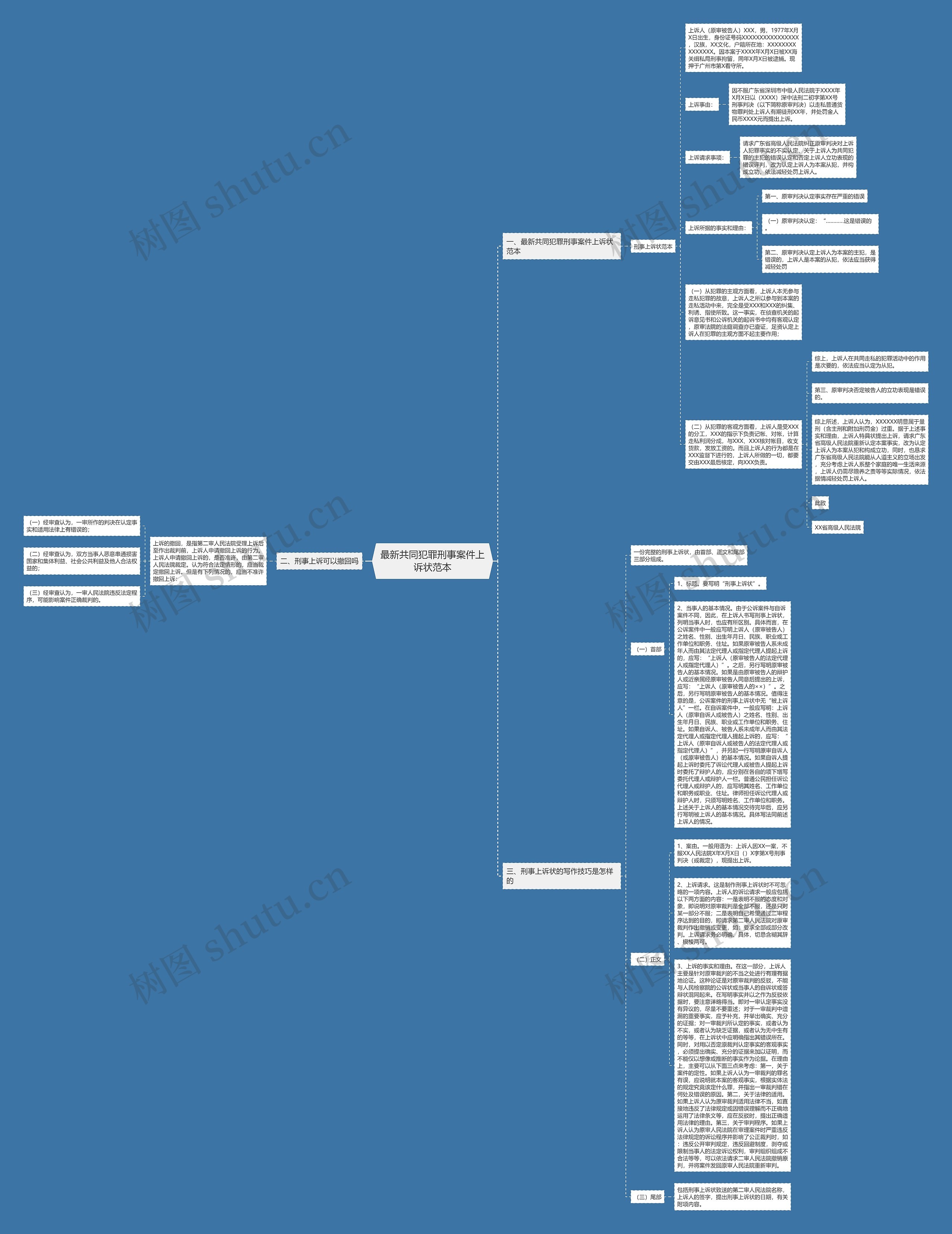 最新共同犯罪刑事案件上诉状范本