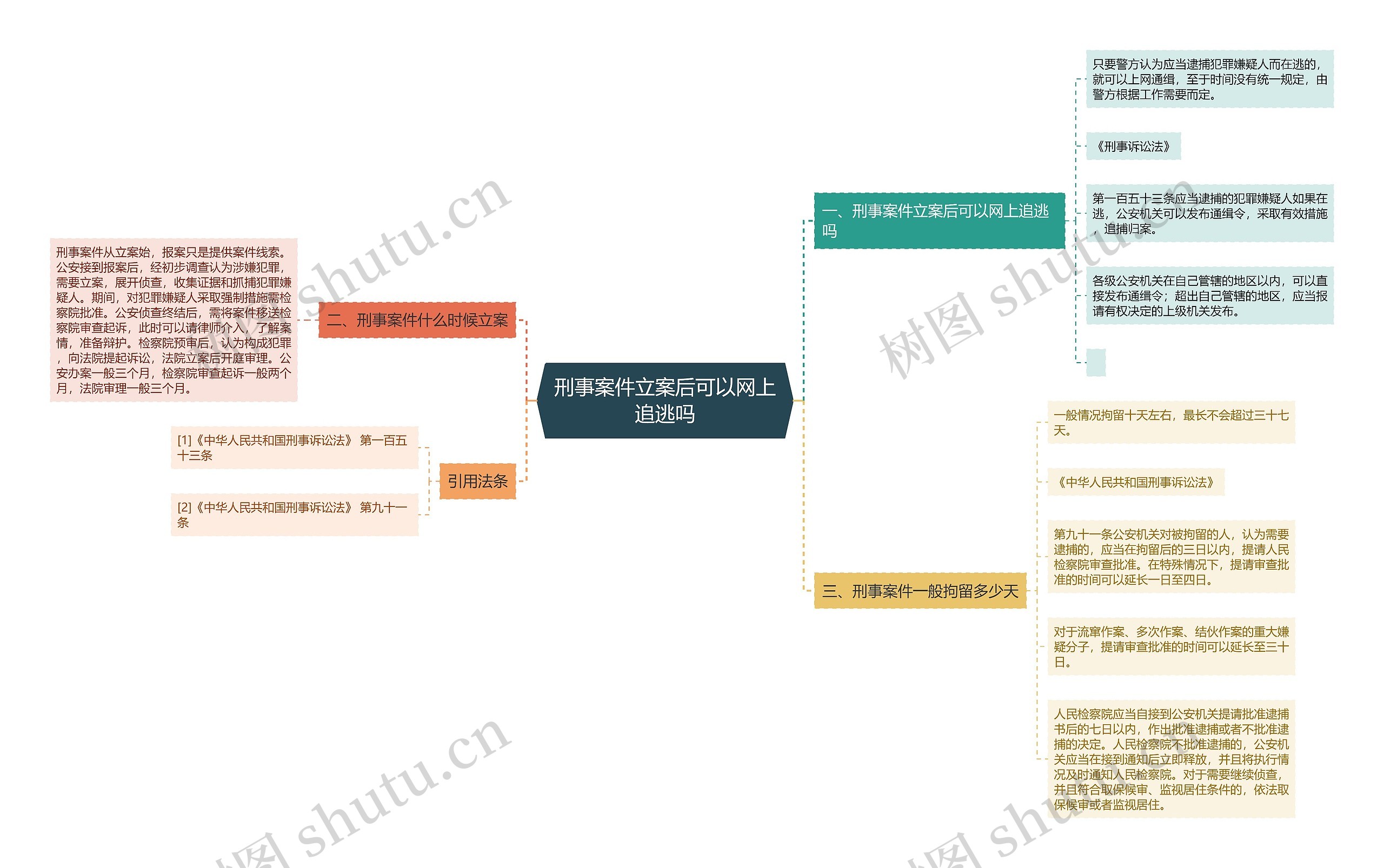 刑事案件立案后可以网上追逃吗思维导图