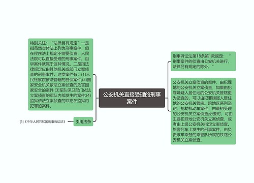 公安机关直接受理的刑事案件