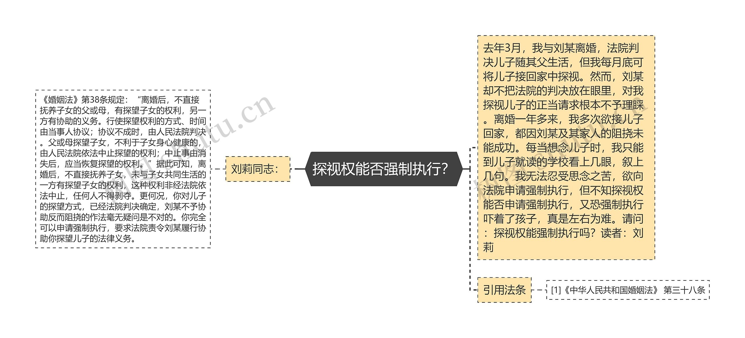 探视权能否强制执行？思维导图