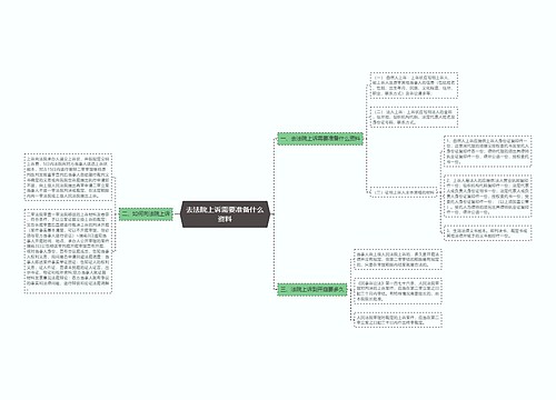 去法院上诉需要准备什么资料