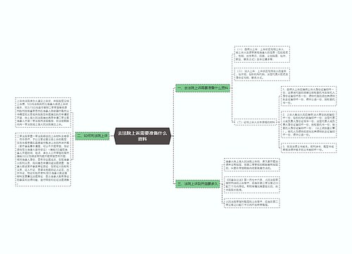 去法院上诉需要准备什么资料