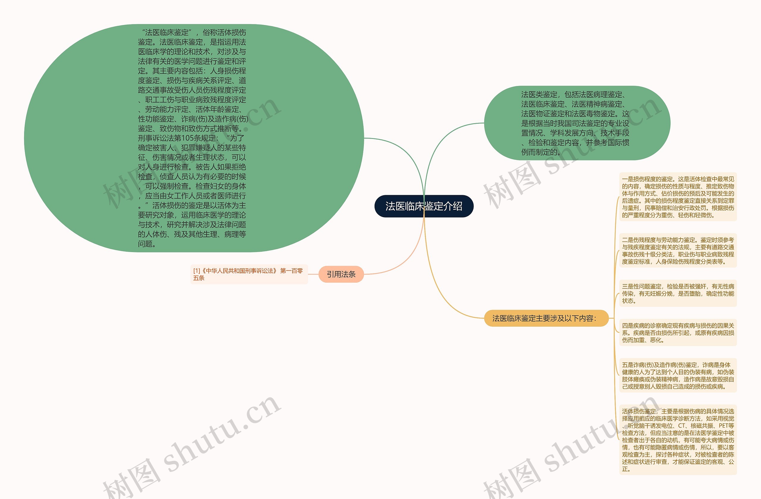 法医临床鉴定介绍思维导图