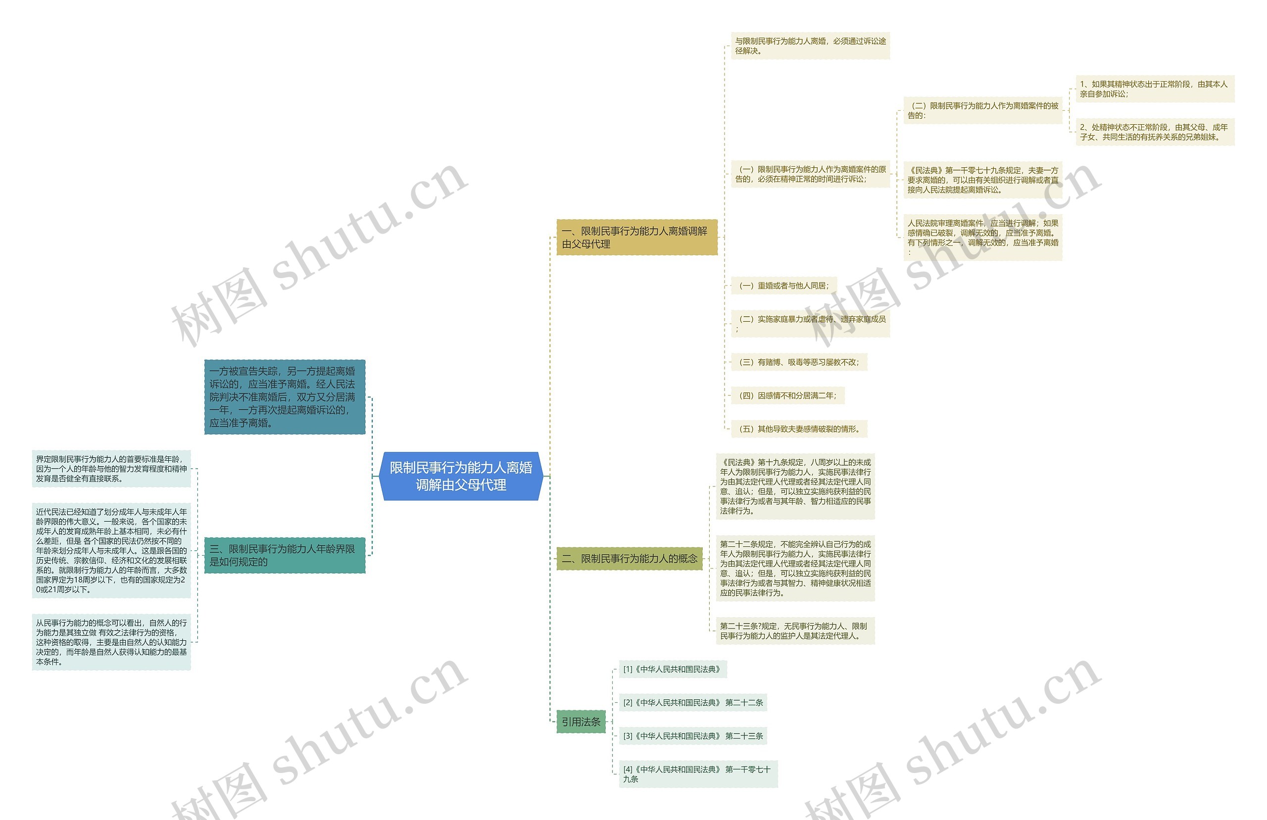 限制民事行为能力人离婚调解由父母代理思维导图
