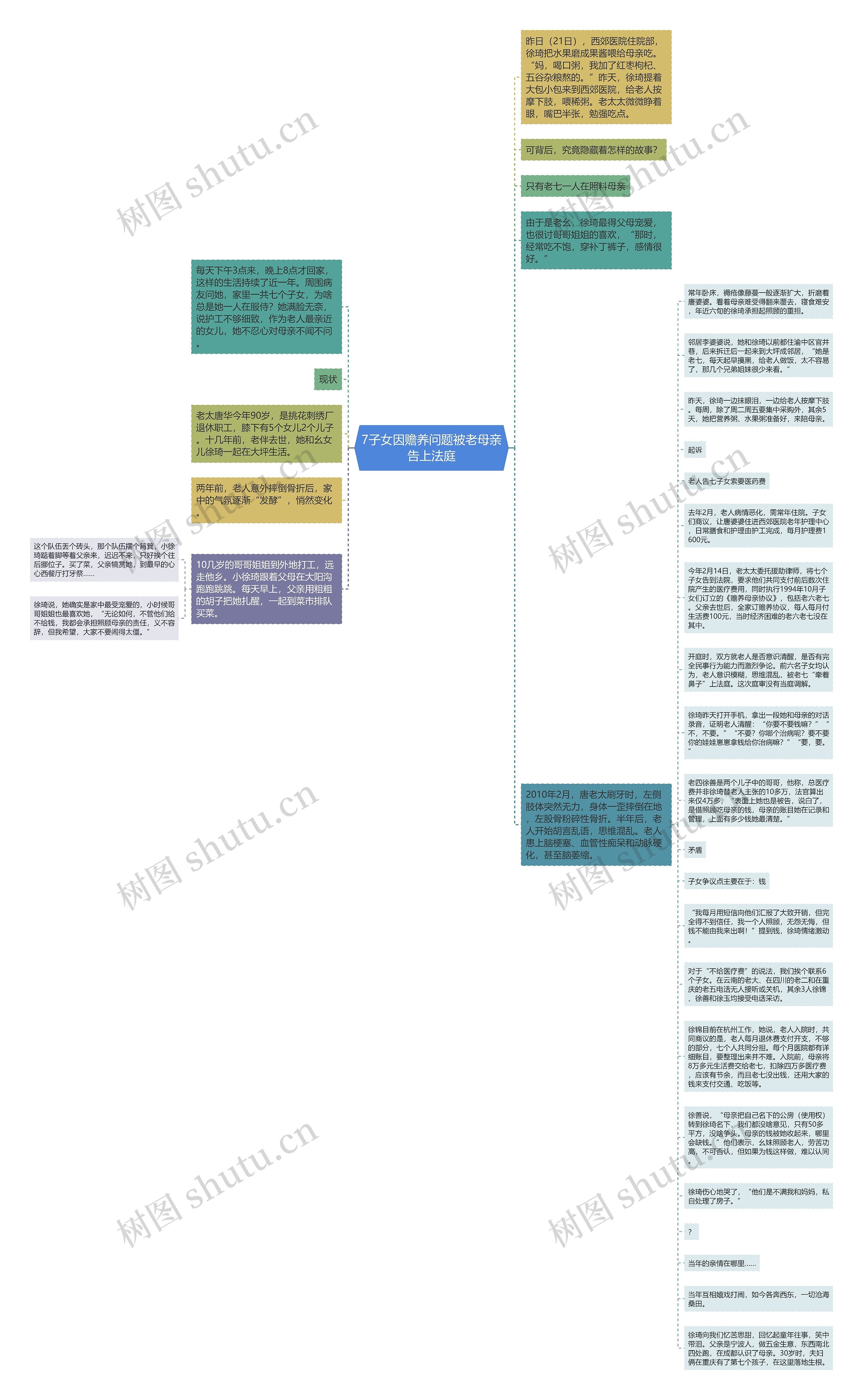 7子女因赡养问题被老母亲告上法庭思维导图