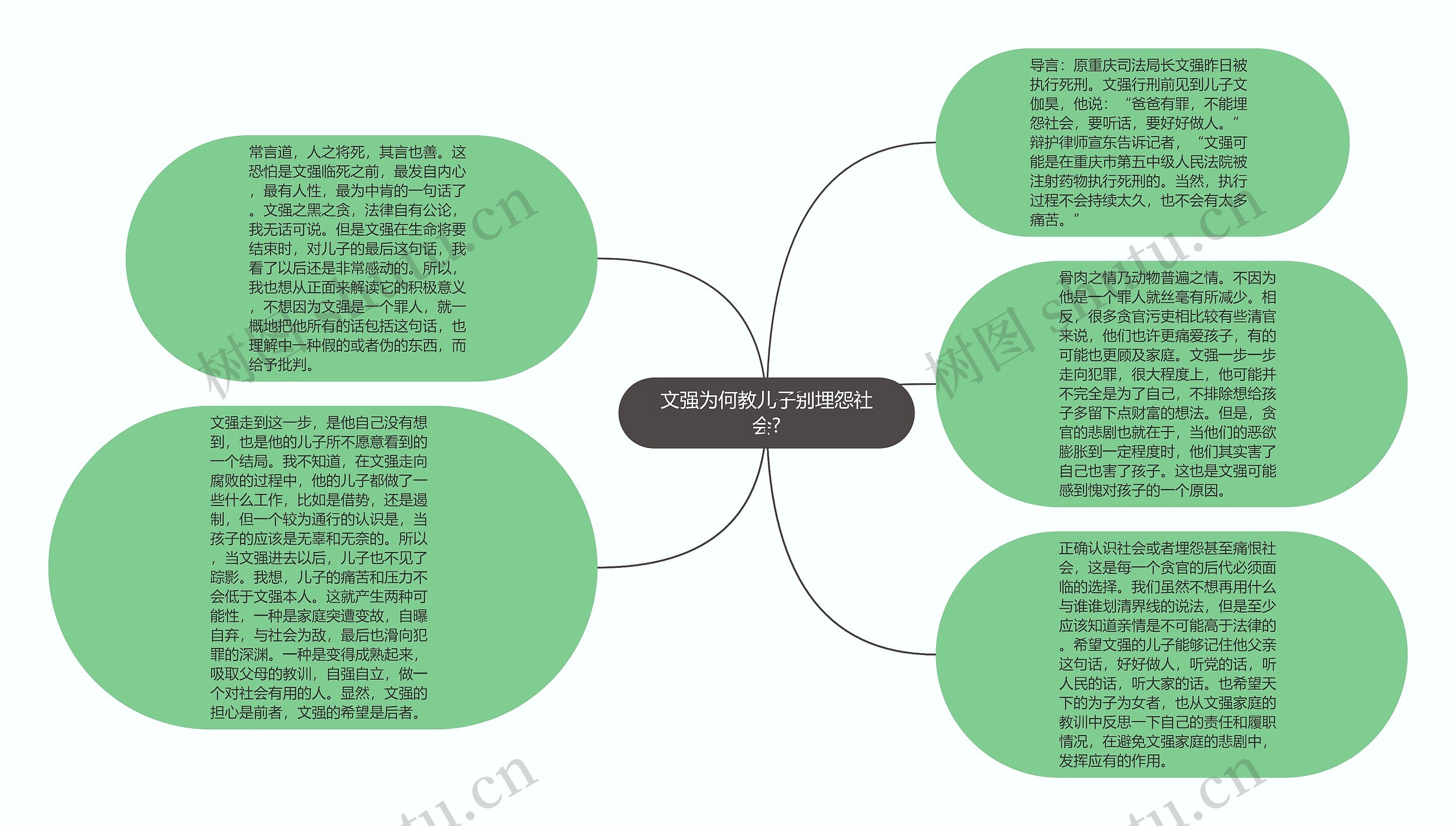 文强为何教儿子别埋怨社会?思维导图