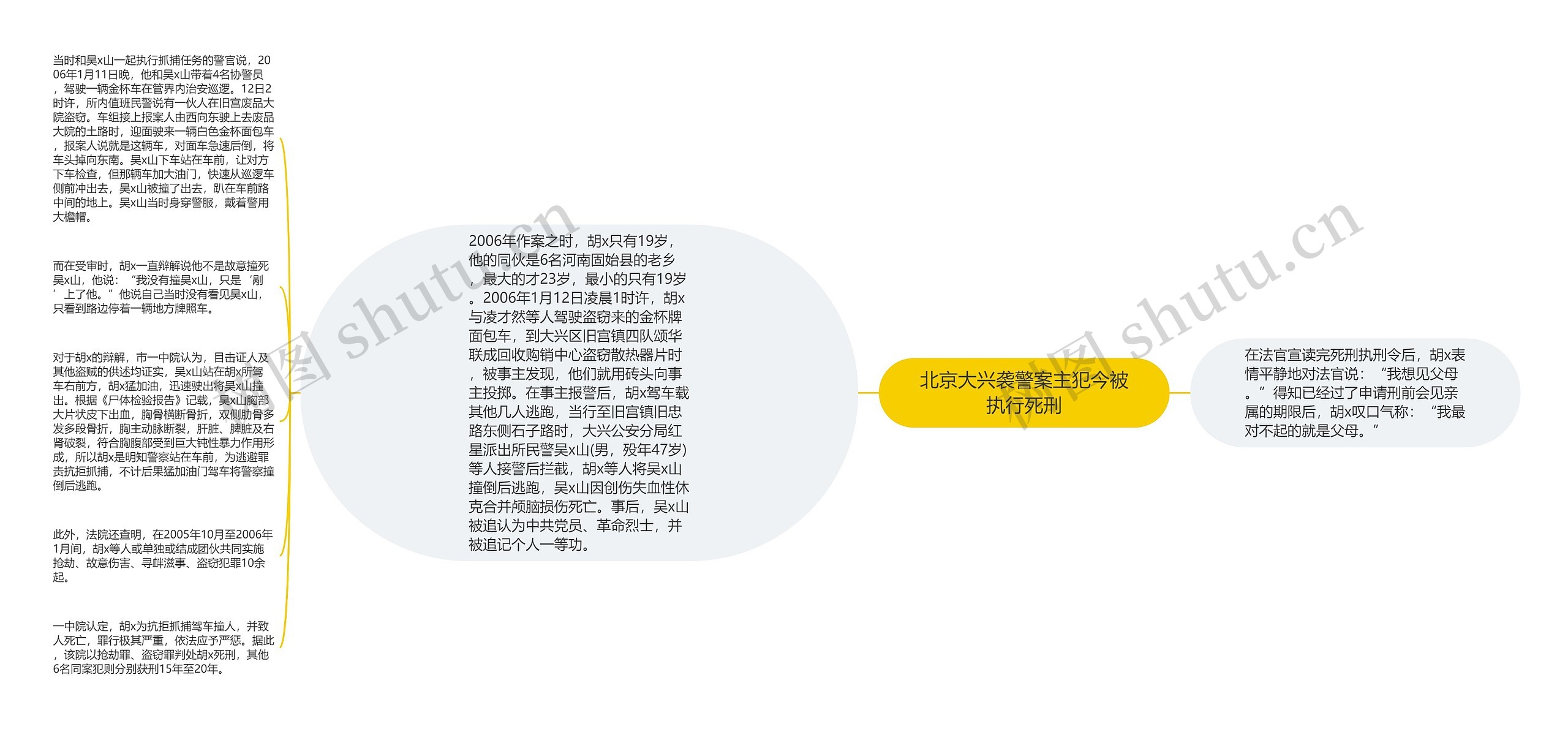 北京大兴袭警案主犯今被执行死刑思维导图