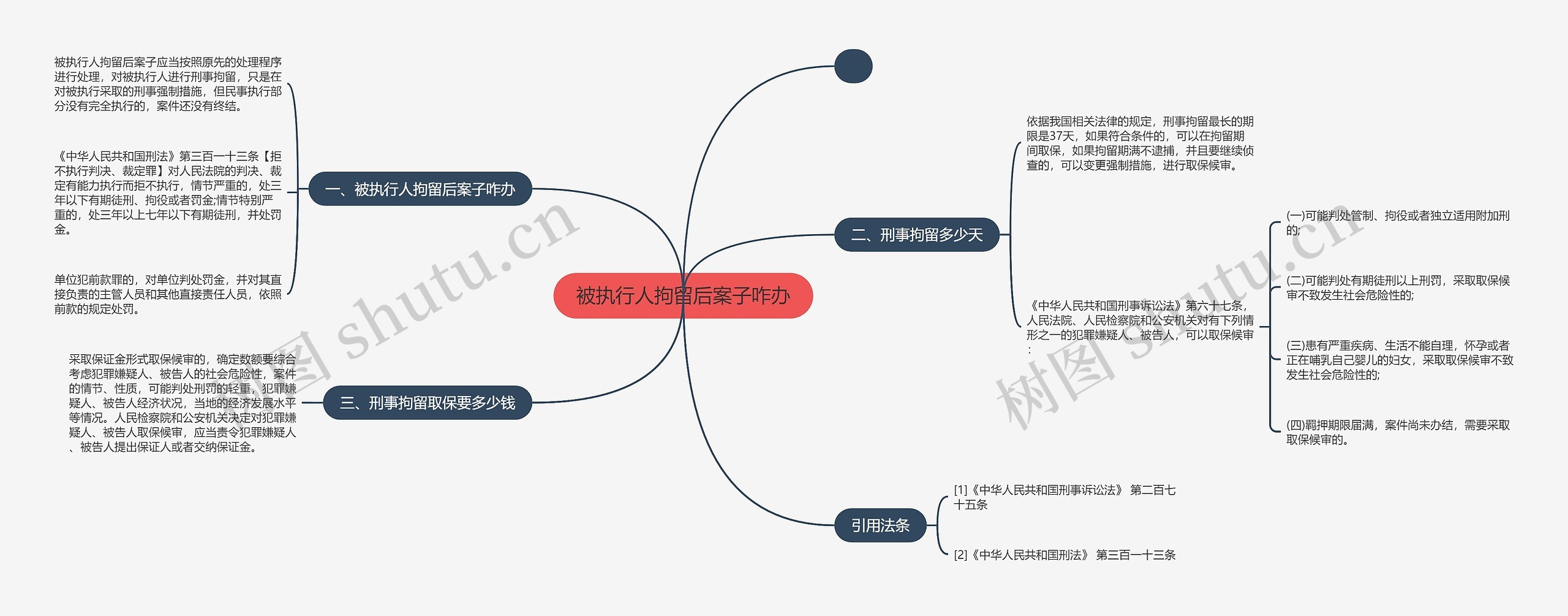 被执行人拘留后案子咋办思维导图